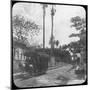 Street Scene with Horse-Drawn Tram, Pernambuco, Brazil, Late 19th or Early 20th Century-null-Mounted Photographic Print