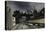 Street Scene-Henri Rousseau-Stretched Canvas