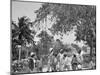 Street Scrap in Grants Town, Nassau, W.I.-null-Mounted Photo