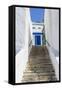 Street, Sidi Bou Said, Tunisia, North Africa-Nico Tondini-Framed Stretched Canvas