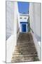 Street, Sidi Bou Said, Tunisia, North Africa-Nico Tondini-Mounted Photographic Print