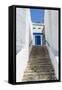 Street, Sidi Bou Said, Tunisia, North Africa-Nico Tondini-Framed Stretched Canvas