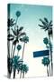 Street Sign and Palms-Lantern Press-Stretched Canvas