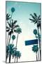 Street Sign and Palms-Lantern Press-Mounted Art Print