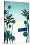 Street Sign and Palms-Lantern Press-Stretched Canvas