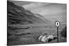Street Sign Dead Sea Israel B/W-null-Stretched Canvas