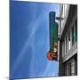 Street Sign in USA-Salvatore Elia-Mounted Photographic Print