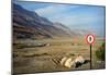 Street Sign on the Shore of the Dead Sea, Israel-null-Mounted Poster