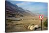 Street Sign on the Shore of the Dead Sea, Israel-null-Stretched Canvas