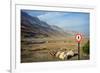 Street Sign on the Shore of the Dead Sea, Israel-null-Framed Photo