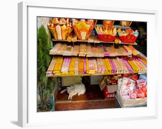 Street Stall, Guangzhou, Guangdong, China-Charles Bowman-Framed Photographic Print