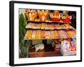 Street Stall, Guangzhou, Guangdong, China-Charles Bowman-Framed Photographic Print