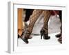 Street Tango Dancers' Legs in San Telmo, Buenos Aires, Argentina-Michael Taylor-Framed Premium Photographic Print