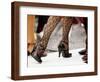 Street Tango Dancers' Legs in San Telmo, Buenos Aires, Argentina-Michael Taylor-Framed Photographic Print