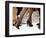 Street Tango Dancers' Legs in San Telmo, Buenos Aires, Argentina-Michael Taylor-Framed Photographic Print