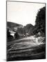 Street Through a Valley in Hastings, Sussex, Early 20th Century-null-Mounted Giclee Print
