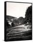 Street Through a Valley in Hastings, Sussex, Early 20th Century-null-Framed Stretched Canvas