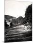 Street Through a Valley in Hastings, Sussex, Early 20th Century-null-Mounted Giclee Print