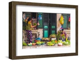 Street Vegetable Seller, Hanoi, Vietnam-Peter Adams-Framed Photographic Print