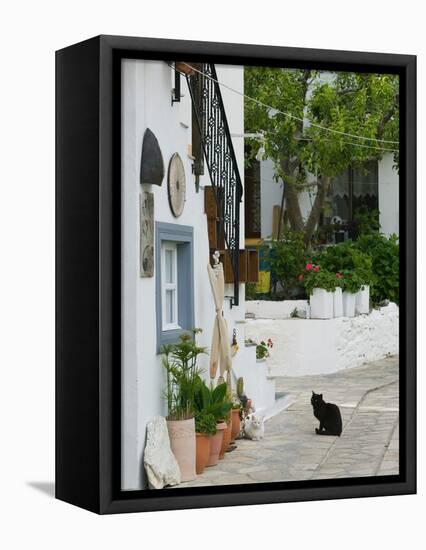 Street View with Black Cat, Manolates, Samos, Aegean Islands, Greece-Walter Bibikow-Framed Stretched Canvas