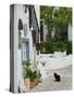 Street View with Black Cat, Manolates, Samos, Aegean Islands, Greece-Walter Bibikow-Stretched Canvas