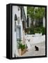 Street View with Black Cat, Manolates, Samos, Aegean Islands, Greece-Walter Bibikow-Framed Stretched Canvas