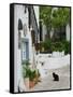 Street View with Black Cat, Manolates, Samos, Aegean Islands, Greece-Walter Bibikow-Framed Stretched Canvas