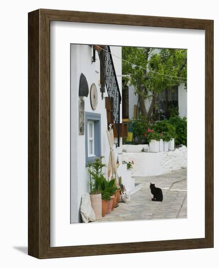 Street View with Black Cat, Manolates, Samos, Aegean Islands, Greece-Walter Bibikow-Framed Photographic Print