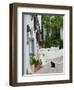 Street View with Black Cat, Manolates, Samos, Aegean Islands, Greece-Walter Bibikow-Framed Photographic Print