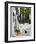 Street View with Black Cat, Manolates, Samos, Aegean Islands, Greece-Walter Bibikow-Framed Photographic Print