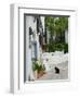 Street View with Black Cat, Manolates, Samos, Aegean Islands, Greece-Walter Bibikow-Framed Photographic Print