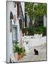 Street View with Black Cat, Manolates, Samos, Aegean Islands, Greece-Walter Bibikow-Mounted Photographic Print