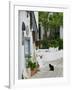 Street View with Black Cat, Manolates, Samos, Aegean Islands, Greece-Walter Bibikow-Framed Photographic Print