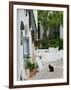 Street View with Black Cat, Manolates, Samos, Aegean Islands, Greece-Walter Bibikow-Framed Photographic Print