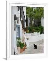 Street View with Black Cat, Manolates, Samos, Aegean Islands, Greece-Walter Bibikow-Framed Photographic Print