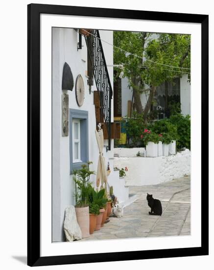 Street View with Black Cat, Manolates, Samos, Aegean Islands, Greece-Walter Bibikow-Framed Photographic Print