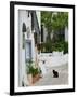 Street View with Black Cat, Manolates, Samos, Aegean Islands, Greece-Walter Bibikow-Framed Photographic Print