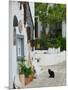 Street View with Black Cat, Manolates, Samos, Aegean Islands, Greece-Walter Bibikow-Mounted Photographic Print