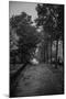 Street View-Kai Joronen-Mounted Photographic Print