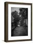 Street View-Kai Joronen-Framed Photographic Print