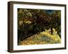 Street with Chestnuts Blossoming-null-Framed Giclee Print