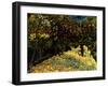 Street with Chestnuts Blossoming-null-Framed Giclee Print