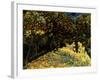 Street with Chestnuts Blossoming-null-Framed Giclee Print