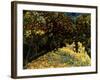 Street with Chestnuts Blossoming-null-Framed Giclee Print