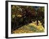 Street with Chestnuts Blossoming-null-Framed Giclee Print