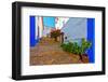 Street-gkuna-Framed Photographic Print