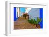 Street-gkuna-Framed Photographic Print