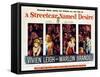 Streetcar Named Desire, Vivien Leigh, Marlon Brando, Kim Hunter, Karl Malden, 1951-null-Framed Stretched Canvas