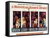 Streetcar Named Desire, Vivien Leigh, Marlon Brando, Kim Hunter, Karl Malden, 1951-null-Framed Stretched Canvas