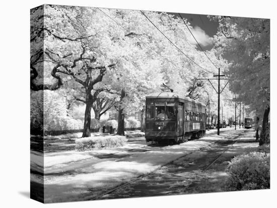 Streetcar, St. Charles Avenue, New Orleans-Carol Highsmith-Stretched Canvas